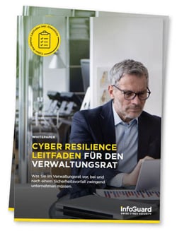 Preview_InfoGuard_Cyber-Resilience-Leitfaden-fuer-vr