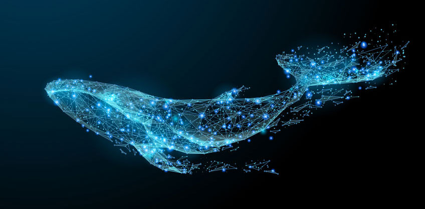 infoguard-cyber-security-blog-whaling