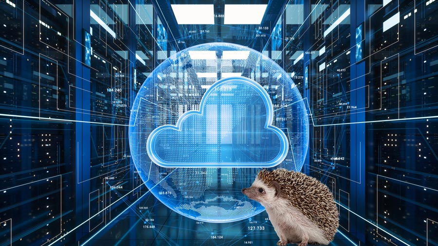 IaaS and SaaS: connection without any obstructions